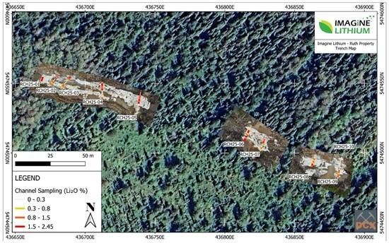 Cannot view this image? Visit: https://images.newsfilecorp.com/files/2962/280798_imaglithfig02_550.jpg