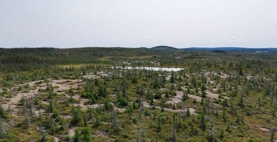 Cannot view this image? Visit: https://images.newsfilecorp.com/files/6963/280485_11877b5644b768b3_003.jpg