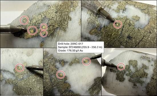 Cannot view this image? Visit: https://images.newsfilecorp.com/files/2958/281372_a3e3a725b491aa8a_004.jpg