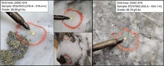 Cannot view this image? Visit: https://images.newsfilecorp.com/files/2958/281372_a3e3a725b491aa8a_006.jpg