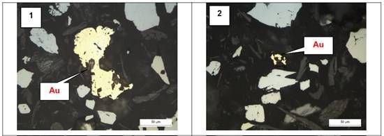 Cannot view this image? Visit: https://images.newsfilecorp.com/files/8296/280987_5dd30eb1e4851871_001.jpg