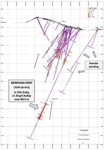 Figure 1: Drill hole TOM-25-015, a major discovery at depth