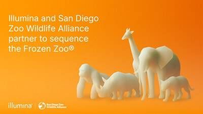 Illumina will sequence up to 4,000 samples representing 1,300 species in the Frozen Zoo®, in an agreement that connects the latest in genomics and multiomics with decades of preserved biodiversity.