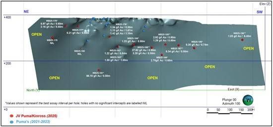 Cannot view this image? Visit: https://images.newsfilecorp.com/files/3398/282680_pumafig1_550.jpg