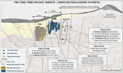 Figure 4: 2D active seismic survey cross section showing FDN East deposit with selected FDN East drilling results and new drill results along the east extension (CNW Group/Lundin Gold Inc.)