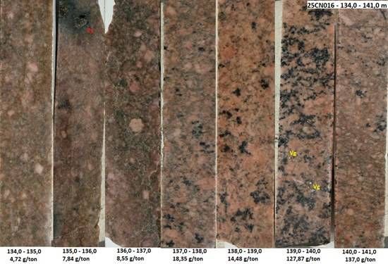 Cannot view this image? Visit: https://images.newsfilecorp.com/files/10429/285024_a1df8e2fe439c8d3_005.jpg