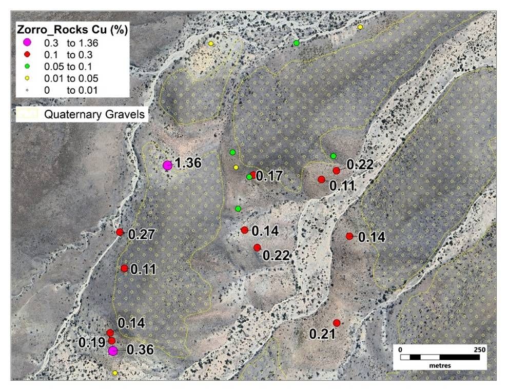 Details of the Zorro North zone showing % Cu values for samples received to date.