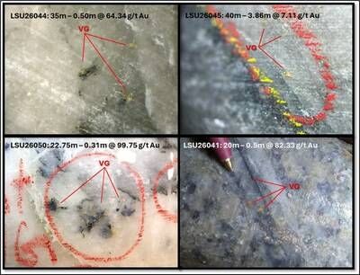 Figure 4. Visible gold observed in LSU26041, LSU26044, LSU045, and LSU26050. (CNW Group/Contango Ore)