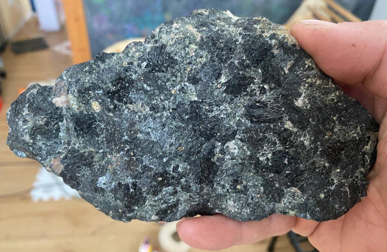 PHOTO-2024-09-11_crop