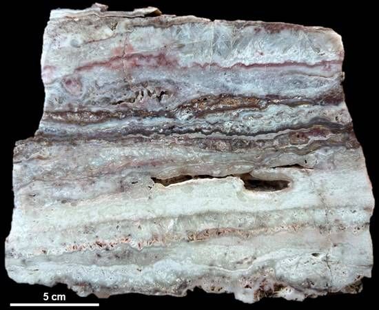 Cannot view this image? Visit: https://images.newsfilecorp.com/files/11439/285868_d8e8251db48a9aa9_004.jpg