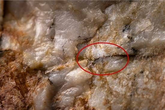 Cannot view this image? Visit: https://images.newsfilecorp.com/files/11821/285848_1e72f2467481d89b_004.jpg