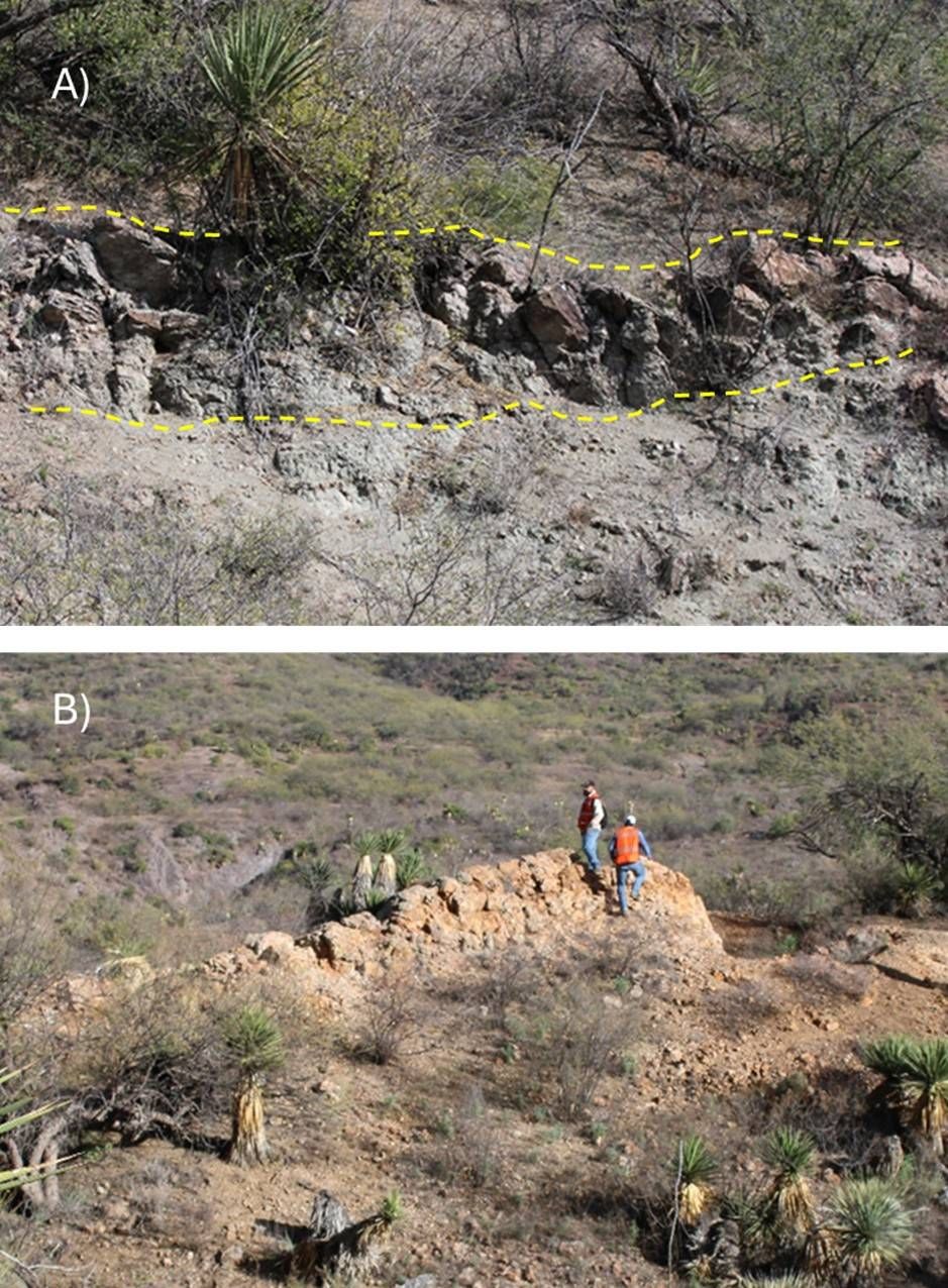 A) and B) Vein outcrops along Oso Negro Property. B) 150 m outcrop of quartz vein with 1.5 m wide.