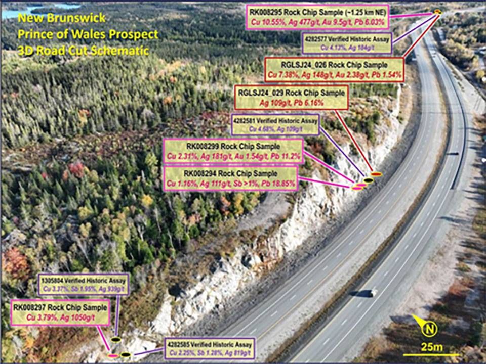 Figure2-Prince-of-Wales-roadside