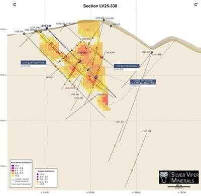 Figure Above: Cross Section C-C' (CNW Group/Silver Viper Minerals Corp.)