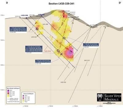 Figure Above: Cross Section D-D' (CNW Group/Silver Viper Minerals Corp.)