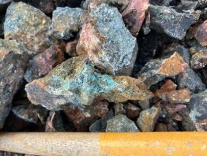 Cannot view this image? Visit: https://images.newsfilecorp.com/files/11821/289845_eranova3.jpg