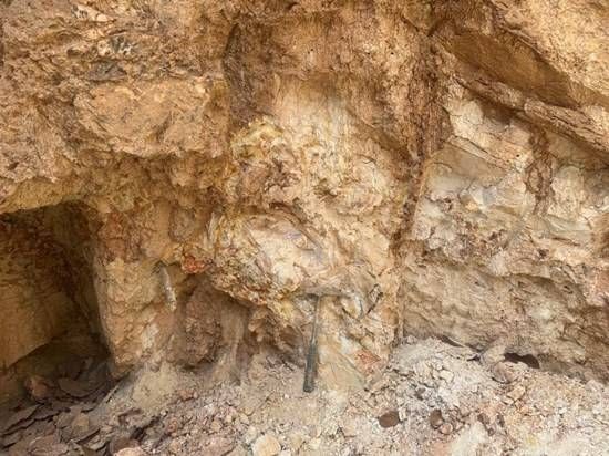 Cannot view this image? Visit: https://images.newsfilecorp.com/files/8941/290554_27505fff64bb58d6_004.jpg