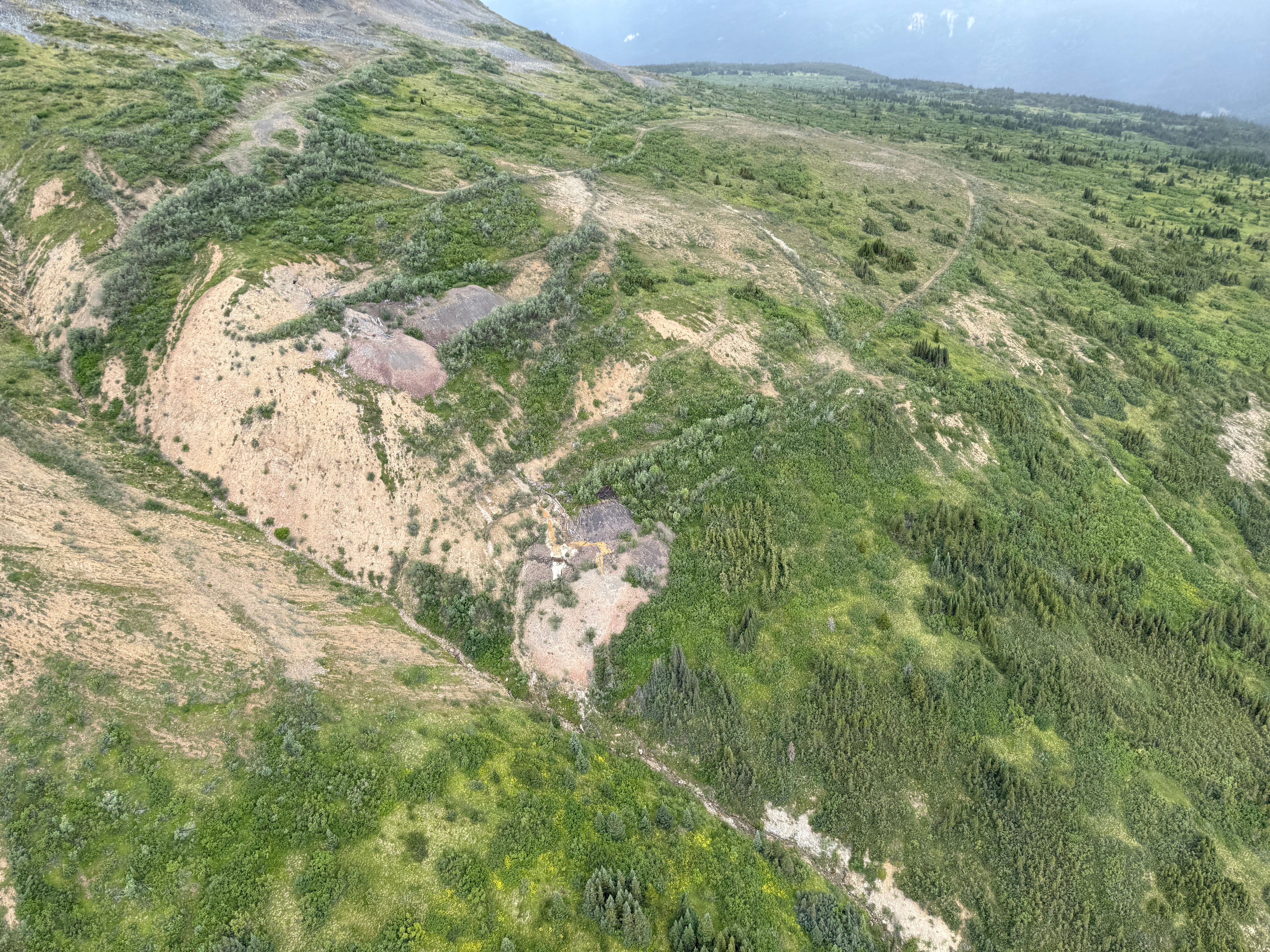 View of historic trenching on the Stump claims.