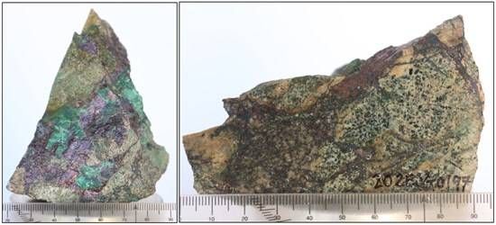 Cannot view this image? Visit: https://images.newsfilecorp.com/files/10074/291434_canonefig104072026_550.jpg