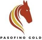Pasofino Gold logo (CNW Group/Pasofino Gold Limited)