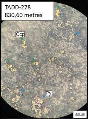 Figure 1. Microphotograph (10x) at 830.60 m: Pyrite, predominantly with granular habit. Chalcopyrite (Ccp), anhedral, associated with pyrite (Py). (CNW Group/Orvana Minerals Corp.)