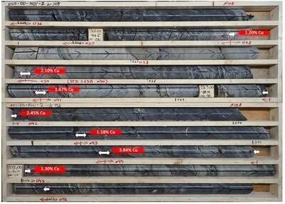 Figure 2, Mineralized drill core from NUS-DD-1401-03A showing the brecciated dolomite horizon encompassed within the local schists. Sample values (copper) are marked in red whilst the white arrows mark the sample boundaries (CNW Group/Blue Moon Metals)
