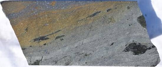 Cannot view this image? Visit: https://images.newsfilecorp.com/files/12035/292826_figure2_550.jpg