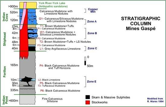 Cannot view this image? Visit: https://images.newsfilecorp.com/files/8892/292853_gaspe_strat_550.jpg