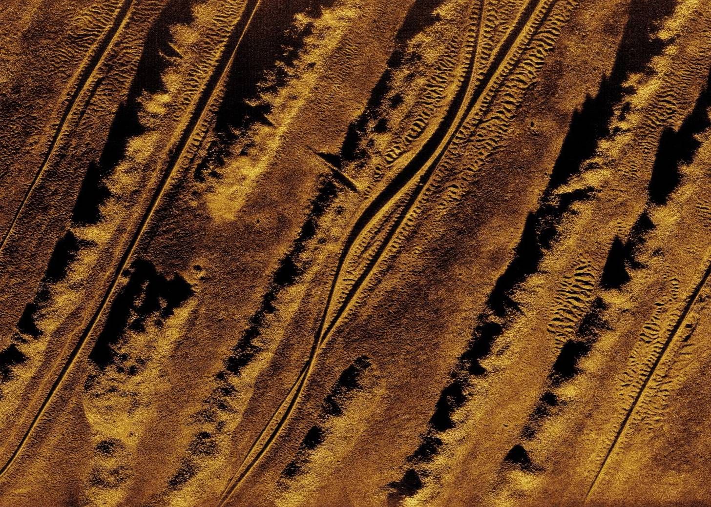 Synthetic Aperture Sonar Image