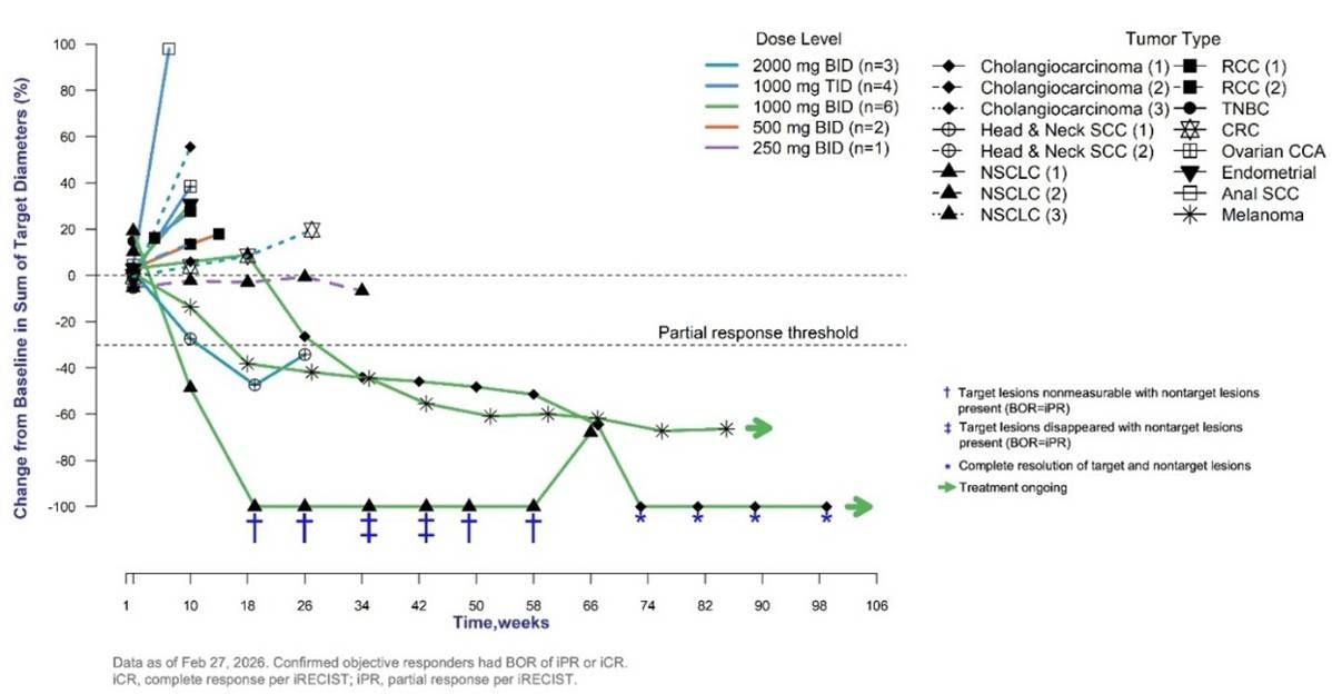 Percent Change from Baseline in Tumor Size by Week