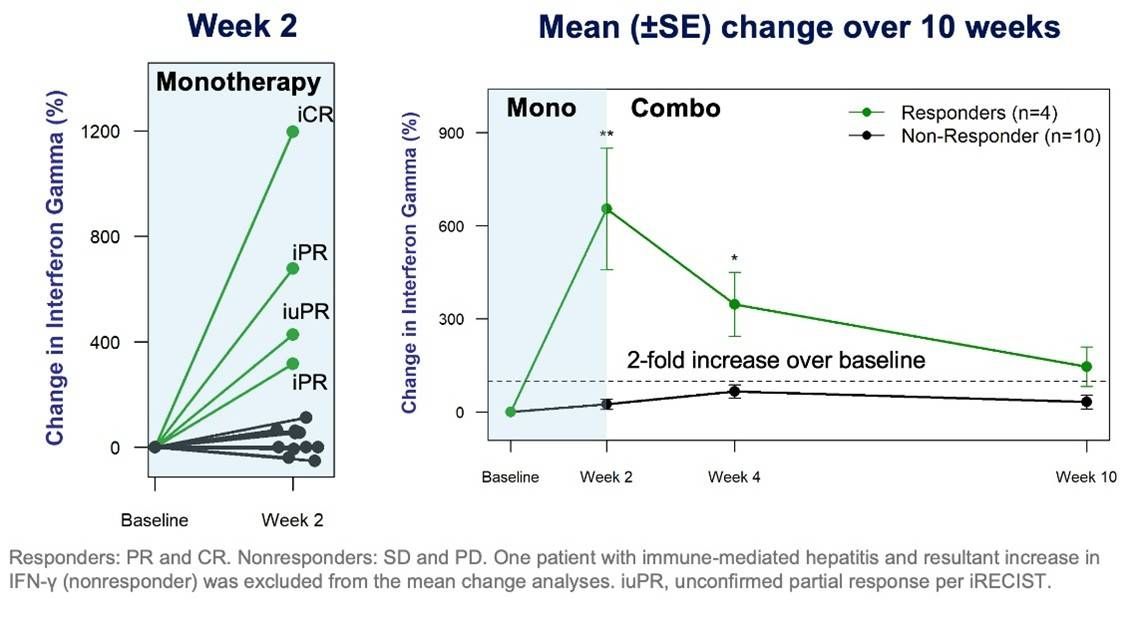 Percentage Change (+, -) from Baseline in Plasma IFN- γ
