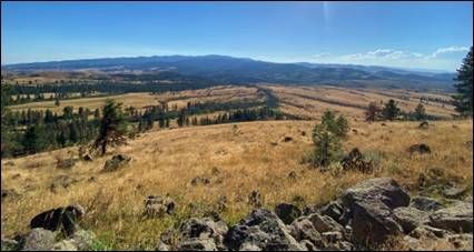 Cannot view this image? Visit: https://images.newsfilecorp.com/files/9425/293696_figure_4.jpg