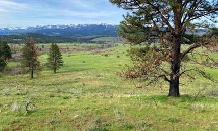 Cannot view this image? Visit: https://images.newsfilecorp.com/files/9425/293696_figure_5.jpg