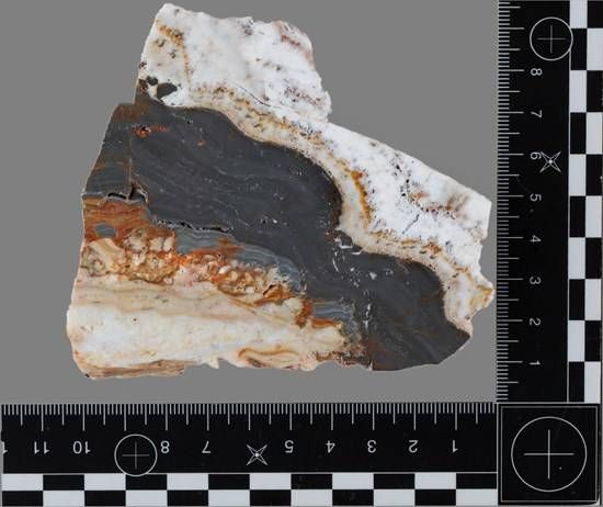 Cannot view this image? Visit: https://images.newsfilecorp.com/files/2477/294533_4091c56a84aeb95b_002.jpg