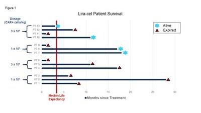 Figure 1. Swimmer plot summarizing patient survival following treatment with lira-cel in Anixa's ongoing Phase 1 clinical trial in recurrent ovarian cancer.