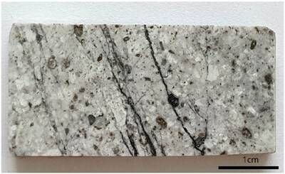 Image 1. TADD-278, at 743.5 meters: Dacitic porphyry with intense phyllic alteration. (CNW Group/Orvana Minerals Corp.) Image 1. TADD-278, at 743.5 meters: Dacitic porphyry with intense phyllic alteration. (CNW Group/Orvana Minerals Corp.)