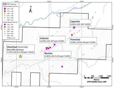 Figure 6: Summary of LCT pegmatite showings at the Pontax Property (Block C). (CNW Group/PMET Resources Inc.)