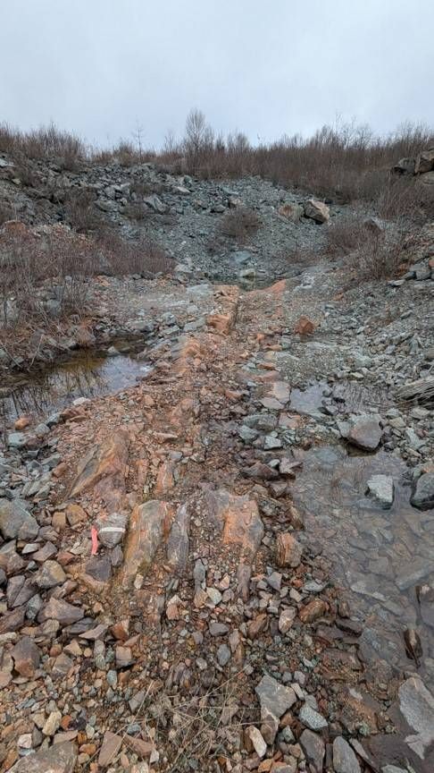 Figure 1 Mineralized vein at the Little Lepreau quarry area Saint John Property