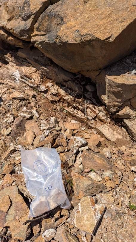 Figure 3 Mineralized quartz carbonate vein at the Prince of Wales quarry pit Saint John Property