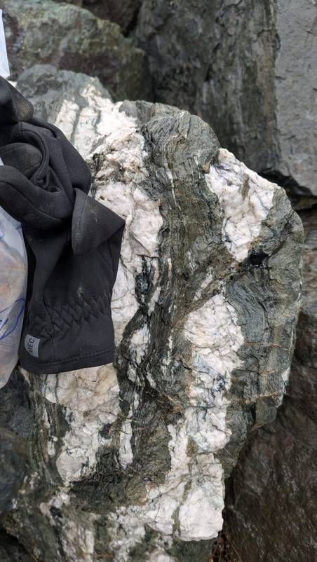 Figure 4 Mineralized quartz carbonate vein at the Prince of Wales quarry pit Saint John Property