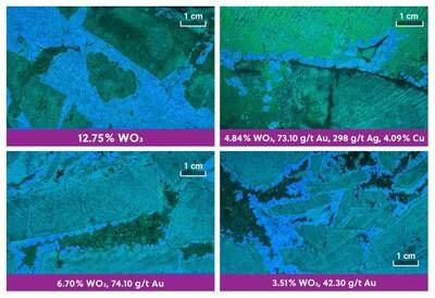 Figure 3: Core Photos Under Ultra-Violet Light Illuminating Coarse Scheelite (Tungsten) in Drill Hole APC-162 (CNW Group/Collective Mining Ltd.) Figure 3: Core Photos Under Ultra-Violet Light Illuminating Coarse Scheelite (Tungsten) in Drill Hole APC-162 (CNW Group/Collective Mining Ltd.)