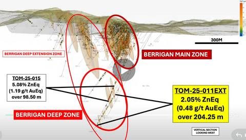 Figure 1 : Vertical section of Berrigan Deep Zone, looking west