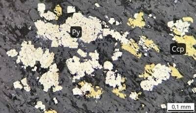 Image 2. TADD-278, at 752.5 meters: Pyrite individuals (Py) and chalcopyrite (Cpy) disseminated throughout the sample (CNW Group/Orvana Minerals Corp.) Image 2. TADD-278, at 752.5 meters: Pyrite individuals (Py) and chalcopyrite (Cpy) disseminated throughout the sample (CNW Group/Orvana Minerals Corp.)