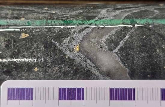 Cannot view this image? Visit: https://images.newsfilecorp.com/files/6489/304504_880a845b14694a7a_002.jpg