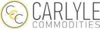 Corporate Logo