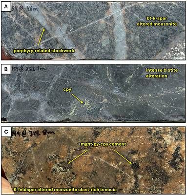 Figure 5. Core photos of Thira drill hole TH25-154 and Camp Lake drill hole TH25-149. A. porphyry-related stockwork cutting biotite-k-feldspar altered monzonite from Thira drill hole TH26-154 at 46.0 meters down hole, B. intense biotite alteration with disseminated and clotted chalcopyrite from Thira drill hole TH26-154 at 221.7 meters down hole, C. potassic altered monzonite clast-rich breccia with magnetite-pyrite-chalcopyrite cement from Camp Lake drill hole TH26-149 at 314.8 meters down hole. Abbreviations: cpy = chalcopyrite, py = pyrite, mgnt = magnetite, bt = biotite, k-spar = potassium feldspar Figure 5. Core photos of Thira drill hole TH25-154 and Camp Lake drill hole TH25-149. A. porphyry-related stockwork cutting biotite-k-feldspar altered monzonite from Thira drill hole TH26-154 at 46.0 meters down hole, B. intense biotite alteration with disseminated and clotted chalcopyrite from Thira drill hole TH26-154 at 221.7 meters down hole, C. potassic altered monzonite clast-rich breccia with magnetite-pyrite-chalcopyrite cement from Camp Lake drill hole TH26-149 at 314.8 meters down hole. Abbreviations: cpy = chalcopyrite, py = pyrite, mgnt = magnetite, bt = biotite, k-spar = potassium feldspar