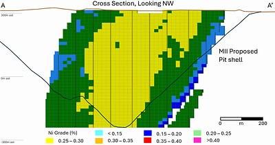 Figure 7. Deloro Nickel Sulphide Project Cross-Section of Nickel Grade. Location of section A-A' is shown in Figure 5.
