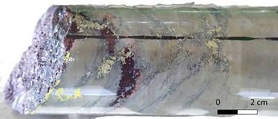 Fig 4. NUS-DD-26-07: 1.39% Cu, 0.05 g/t Au, 16.8 g/t Ag over 3.5m. Bornite-Chalcopyrite mineralization in siltstone host at 922.7 m. The image depicts a vein, rich in bornite with minor chalcopyrite, truncated by a later fracture, itself presenting chalcopyrite. The image shows clear evidence of multiple mineralization phases, which are being regularly noted by logging staff at Nussir. Findings such as this provide exciting prospects and theories for the department. Fig 4. NUS-DD-26-07: 1.39% Cu, 0.05 g/t Au, 16.8 g/t Ag over 3.5m. Bornite-Chalcopyrite mineralization in siltstone host at 922.7 m. The image depicts a vein, rich in bornite with minor chalcopyrite, truncated by a later fracture, itself presenting chalcopyrite. The image shows clear evidence of multiple mineralization phases, which are being regularly noted by logging staff at Nussir. Findings such as this provide exciting prospects and theories for the department.