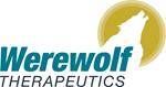 Primary Logo