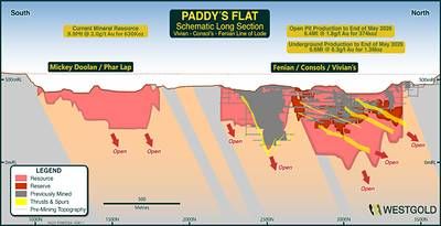 Figure 4: Paddy's Flat Schematic Long Section